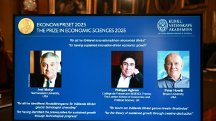 Un trío gana el Nobel de Economía por sus trabajos sobre el crecimiento y la innovación