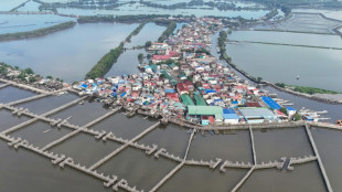 Une &icirc;le des Philippines lutte contre la mont&eacute;e des eaux gr&acirc;ce &agrave; la nature, pas au b&eacute;ton
