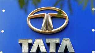 Londres d&eacute;croche la "giga-usine" de batteries de Tata en Europe