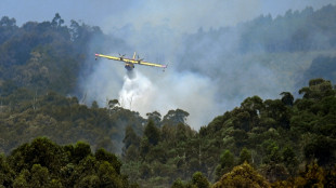 El fin de los incendios en Espa&ntilde;a "est&aacute; mucho m&aacute;s cerca" 