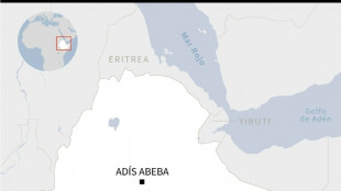 Liberado a un periodista franc&eacute;s detenido en Etiop&iacute;a