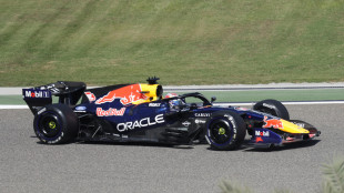 Test a Sakhir, alla pausa Vertappen &eacute; il pi&ugrave; veloce