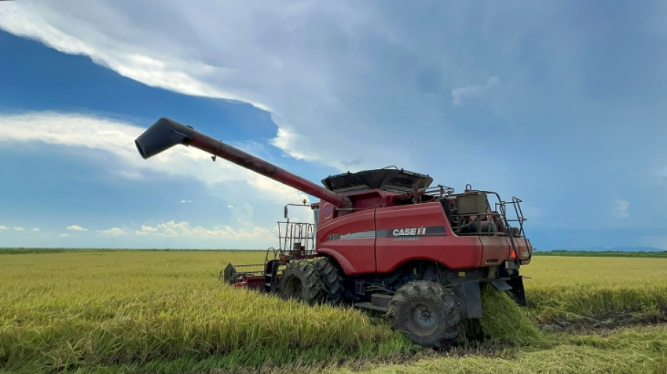 Vietnam, a la vanguardia de la inversi&oacute;n extranjera privada en el campo cubano