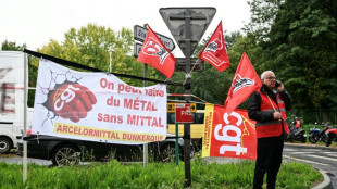 "L'avenir d'ArcelorMittal France incertain", plan social "ou non", selon un rapport d'expertise