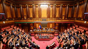 Su Crans-Montana risoluzione bipartisan, 'sostenere le famiglie nei processi'
