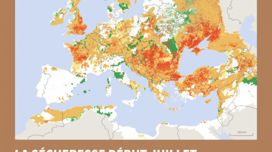 Sécheresse record pour un début juillet en Europe et sur le pourtour méditerranéen