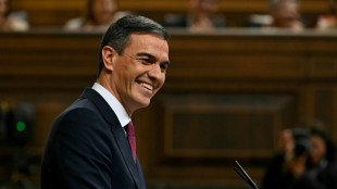 Pedro S&aacute;nchez en passe d'&ecirc;tre reconduit &agrave; la t&ecirc;te d'une Espagne divis&eacute;e