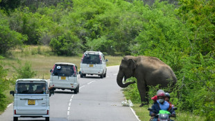 Wildtiere dehnten Aktionsradius w&auml;hrend Coronapandemie zeitweise deutlich aus