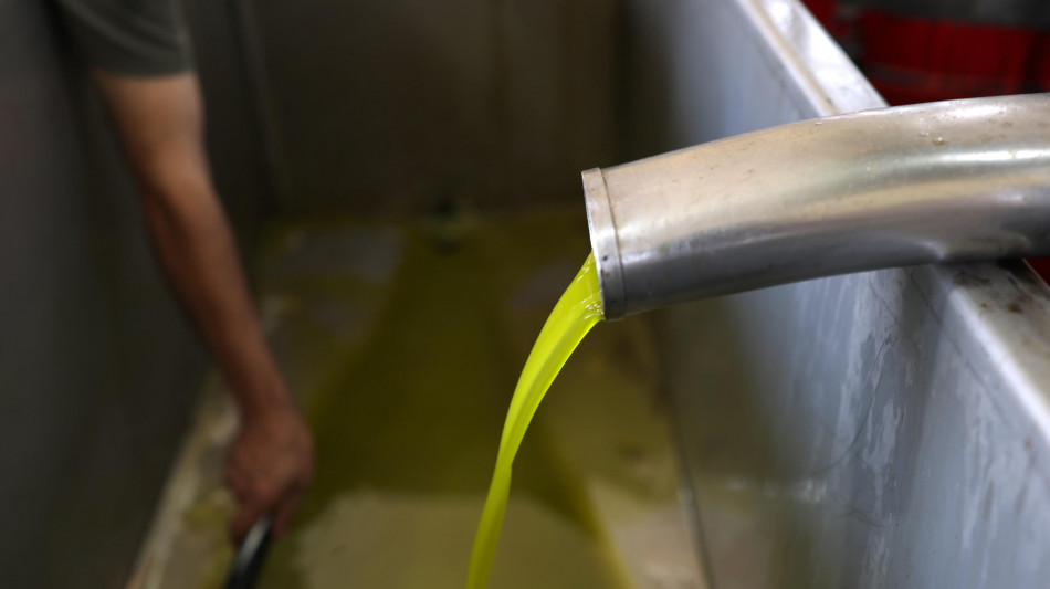 Il surplus agroalimentare dell'Ue sale a 34,7 miliardi tra gennaio e agosto