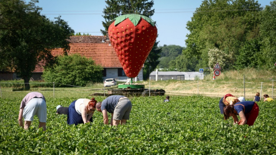 Revisado al alza el crecimiento de la Eurozona en el 1T, al 0,6%