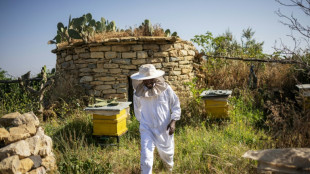 En Ethiopie, le miel du Tigr&eacute; tente de retrouver des couleurs