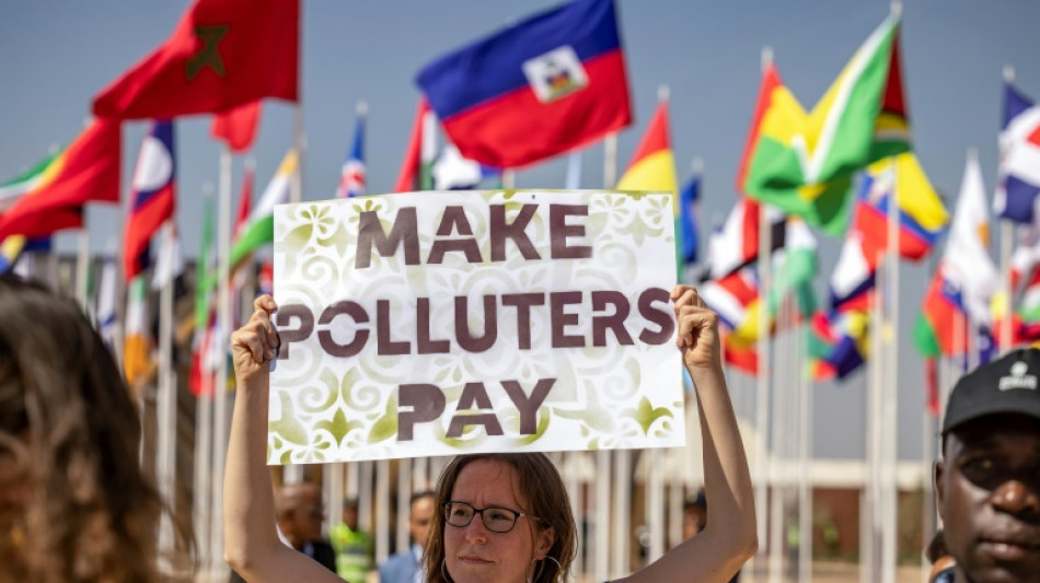 Para el FMI, el impuesto al carbono es esencial en la pol&iacute;tica medioambiental