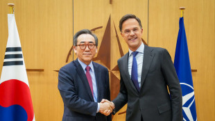 Rutte, il disimpegno Usa dall'Europa sar&agrave; coordinato