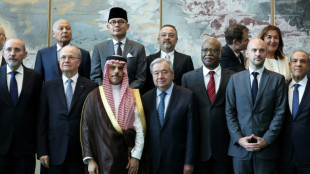 ONU registra forte apoio à solução de 2 Estados no Oriente Médio em conferência boicotada por EUA e Israel