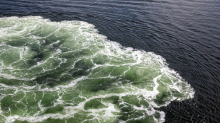 Greenpeace: Russische Ölexporte mit veralteten Tankern gefährden Ostseeküste