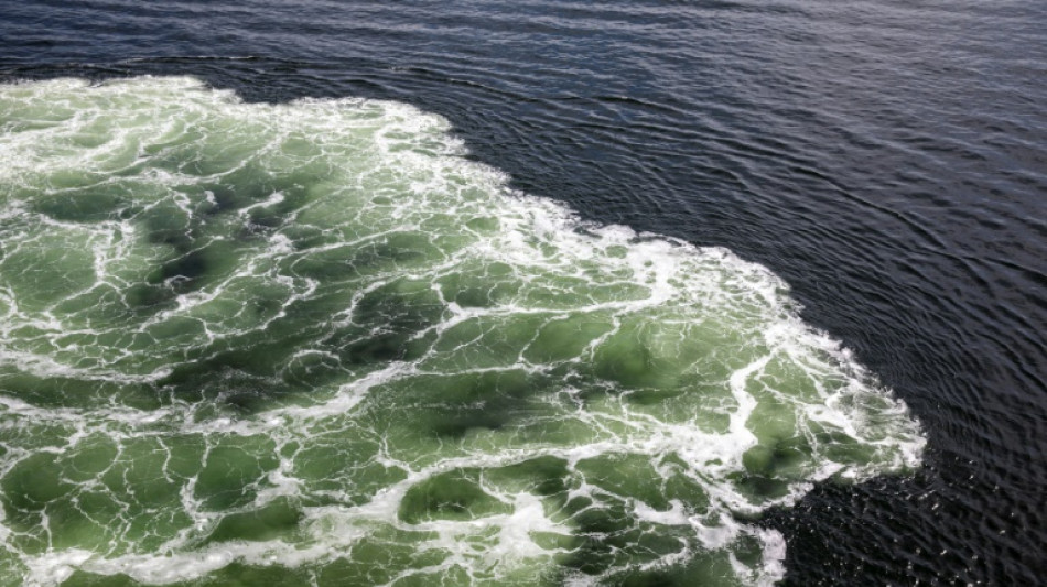 Schuldspr&uuml;che in Prozess um versuchten Millionenbetrug durch fingierten Bootsunfall