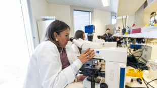 Il cuore ha un piccolo 'cervello' che lo protegge dallo stress