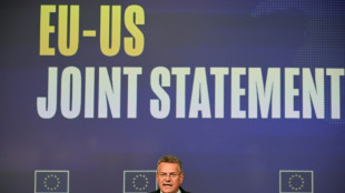 EEUU aplicar&aacute; un arancel del 15% a los autom&oacute;viles europeos