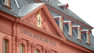 AfD-Mitglieder in Rheinland-Pfalz nicht pauschal von Staatsdienst ausgeschlossen