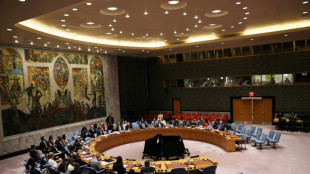 UN-Sicherheitsrat ber&auml;t &uuml;ber Russlands Luftraumverletzung in Estland