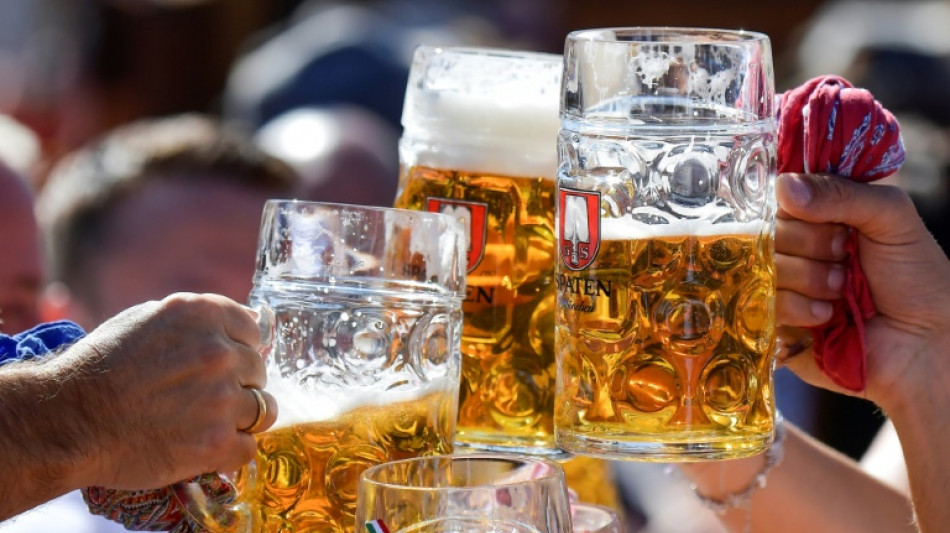 Hopfenproduzenten erwarten &uuml;berdurchschnittliche Ernte in diesem Jahr