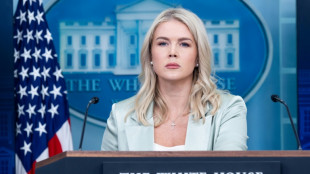 Casa Branca aceitaria análise grafotécnica de suposta carta de Trump a Epstein