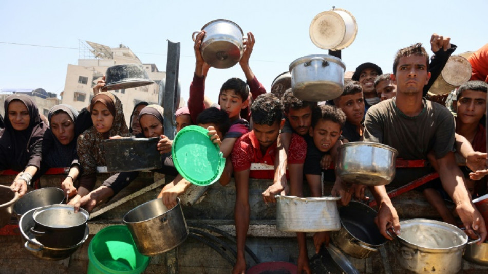 Saqueos, caos y disparos indiscriminados impiden que la ayuda llegue a los m&aacute;s vulnerables en Gaza