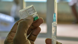 Le paludisme, toujours un fl&eacute;au en Afrique malgr&eacute; un nouveau vaccin