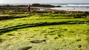 Découverte au Maroc d'empreintes humaines datant de plus de 100.000 ans