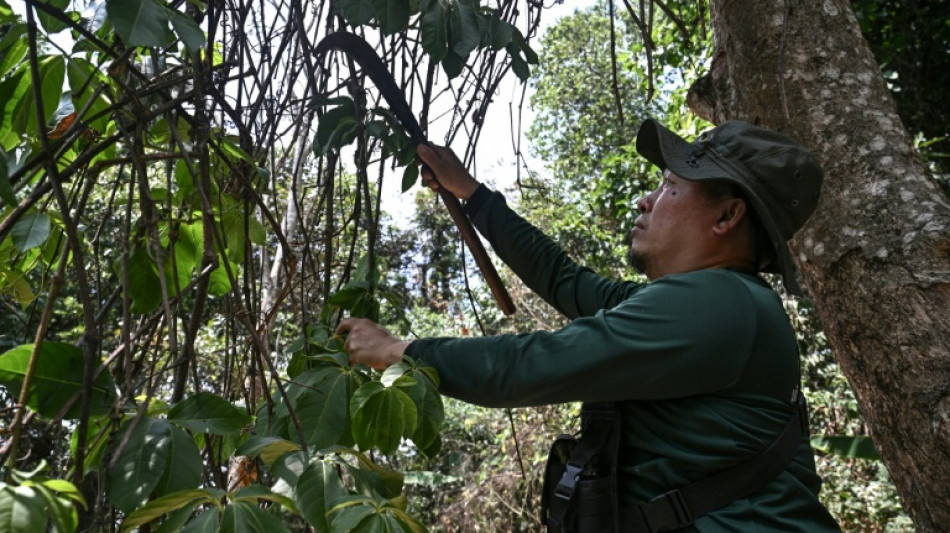 En Tha&iuml;lande, des habitants des montagnes combattent incendies et clich&eacute;s