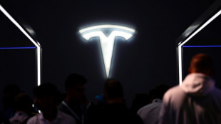 Landesarbeitsgericht: Betriebsratswahl bei Tesla kann Mitte M&auml;rz stattfinden 