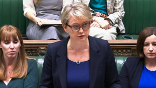 Reino Unido anuncia reformas para 'erradicar' quadrilhas de pedófilos