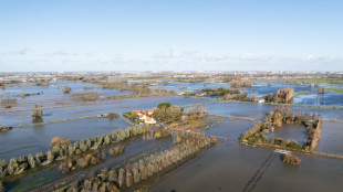 Pas-de-Calais: pour les agriculteurs inond&eacute;s, un traumatisme et des mois de travail tomb&eacute;s &agrave; l'eau