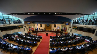 El Congreso de El Salvador disminuye de 262 a 44 los municipios del pa&iacute;s