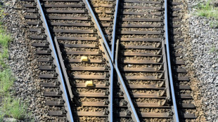 Zug bleibt kurz vor Bahnhof liegen: Feuerwehr hilft mehr als 100 Reisenden heraus