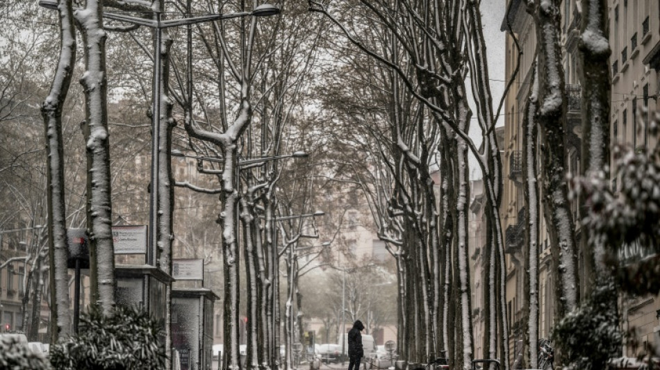 "No&euml;l au balcon, P&acirc;ques au tison": d&eacute;but avril, la France agricole se met en mode combat face au froid