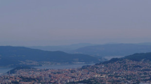 "Peu probable" que la fumée des incendies au Canada affecte l'air des Européens