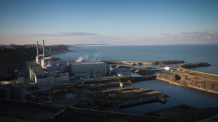 Le gouvernement acte la relance de la fili&egrave;re nucl&eacute;aire en France