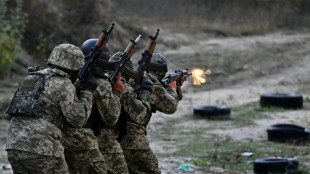 Quand des opposants russes &agrave; Poutine prennent les armes en Ukraine