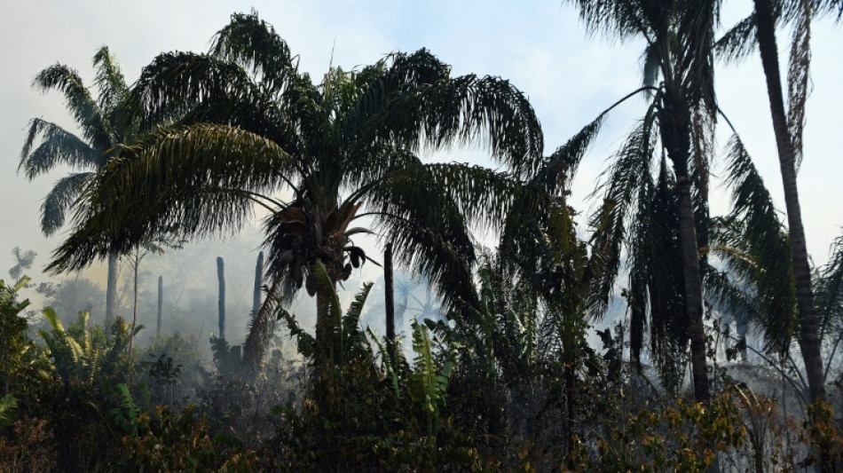 Juez de Brasil exhorta a Macron a manifestarse por da&ntilde;os ambientales