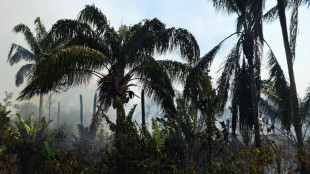 Juez de Brasil exhorta a Macron a manifestarse por da&ntilde;os ambientales