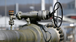 Gewerkschaften kritisieren Heizungsgesetz - Industrie reagiert verhalten