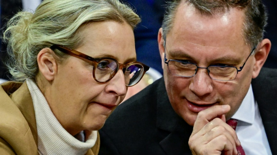 H&ouml;here Freibetr&auml;ge: AfD-Fraktion will grundlegende Steuerreform