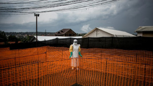 Ausbruch seltener Ebola-Variante im Kongo und in Uganda: WHO ruft Notlage aus
