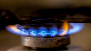 Il gas chiude in rialzo a 56,45 euro al megawattora