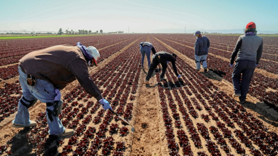 Agricultores del des&eacute;rtico sur de California, en el punto de mira por la guerra del agua
