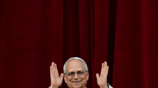 'Great honor': Leaders welcome Leo, first US pope