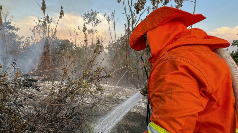 Los incendios se agravan en el Pantanal brasile&ntilde;o, el mayor humedal del planeta