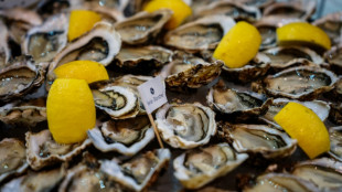 Les hu&icirc;tres du Bassin d'Arcachon interdites &agrave; la vente apr&egrave;s des intoxications