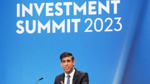 Londres annonce pr&egrave;s de 30 milliards de livres d'investissements priv&eacute;s